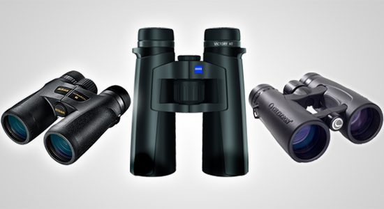 full 2013 Cornell Lab binocular review