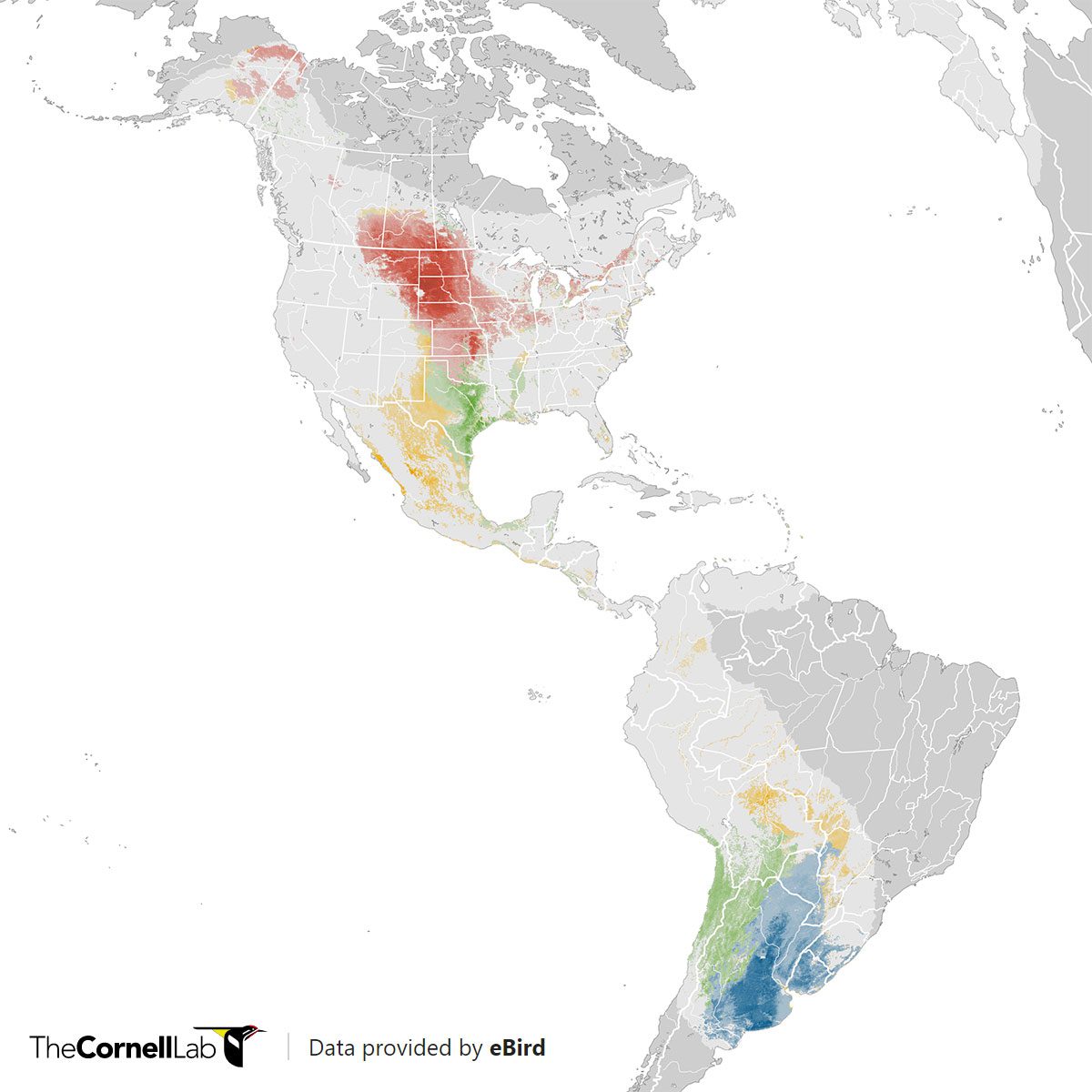 eBird Abundance map for the Upland Sandpiper.