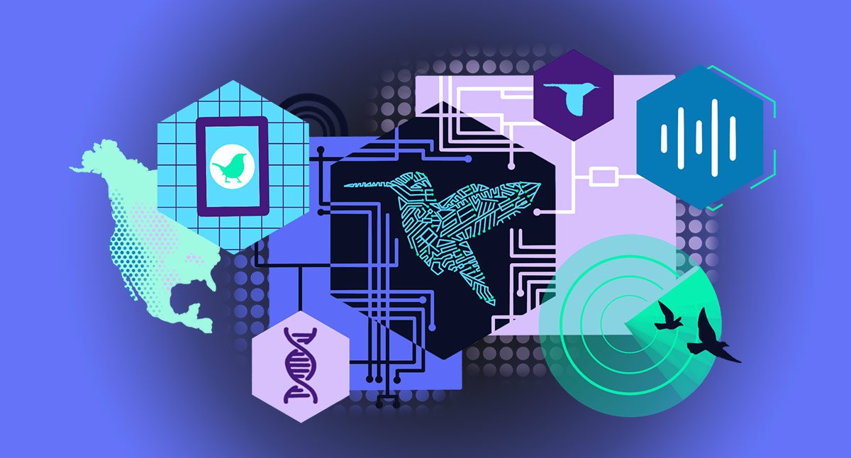 A colorful graphic of shapes and several silhouettes (birds, North America. DNA helix)