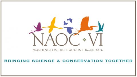 naoc meeting banner