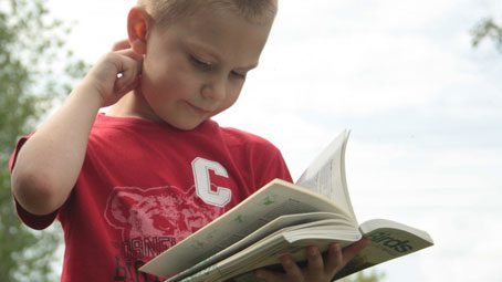 How to Choose a Field Guide for Kids, Bird Sleuth