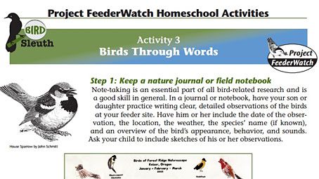 Lesson Ideas: Homeschooler