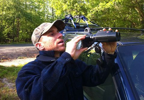 scouting big day world series of birding cape may redheads anti-petrels