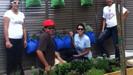 CUBs-El Paso Community College, Container Gardening Lets You Grow Plants Even if You Don