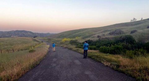 Two people birdwatching at dawn on a dirt road in an open gently hilled landscape.