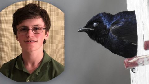 Shea Tiller, April eBirder of the month