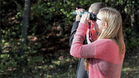 EBIRD ESSENTIALS FOR EDUCATORS image from site