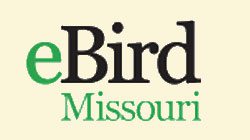 eBird Missouri