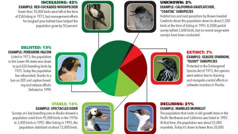 Endangered species act pie chart