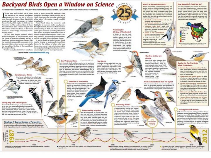 2011 poster about breakthroughs from Project FeederWatch