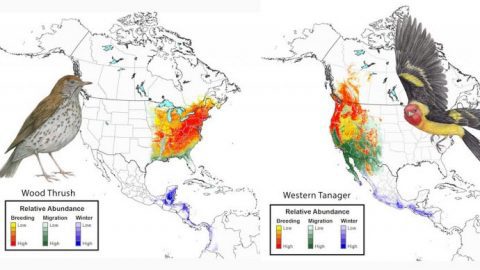 State of North America