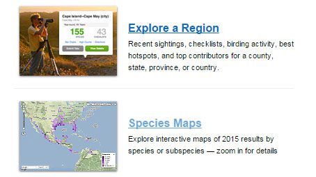 View and Explore Data from the Great Backyard Bird Count