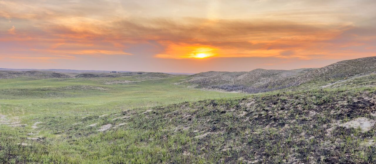 Sunset over the grasslands