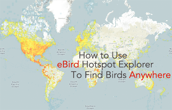 using eBird to find birding hotspots