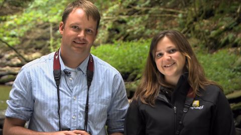 Inside Birding" Size and Shape, Jessie Barry & Chris Wood