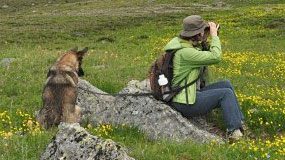 Karen Marshall, June 2016 eBirder of the month