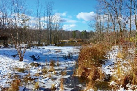 A wintry day at the Cornell Lab of Ornithology. Photo by Tim Gallagher.