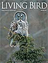 Living Bird, winter 2008