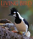 Living Bird, summer 2009