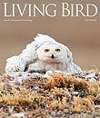 Living Bird, winter 2009