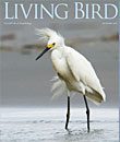 Living Bird, autumn 2010