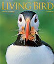 Living Bird, autumn 2011