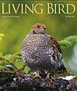 Living Bird, winter 2011