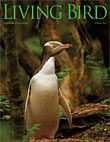 Living Bird, spring 2012