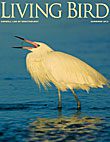 Living Bird, summer 2012