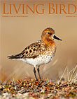 Living Bird, winter 2013