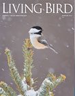 Living Bird, winter 2014