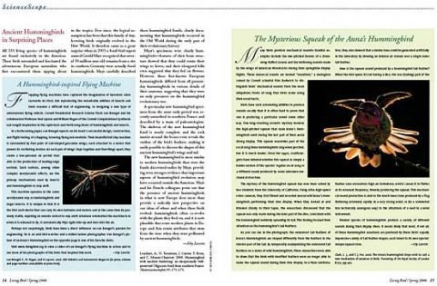 science article on fossil hummingbirds