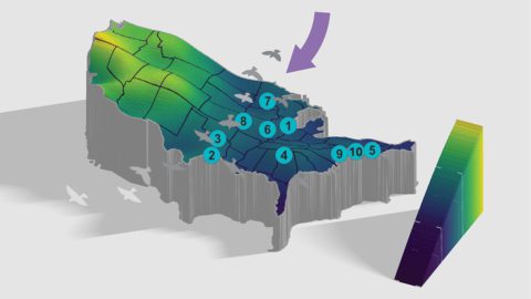 Fall migration flight altitude analysis by Adriaan Dokter/BirdCast. Graphic by Jillian Ditner. List of most dangerous cities for migrating birds in fall from “Bright lights in big cities: migratory birds’ exposure to artificial light,” Frontiers in Ecology and the Environment, april 2019.