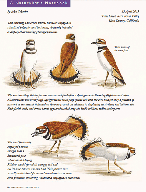 John Schmidt: Naturalist