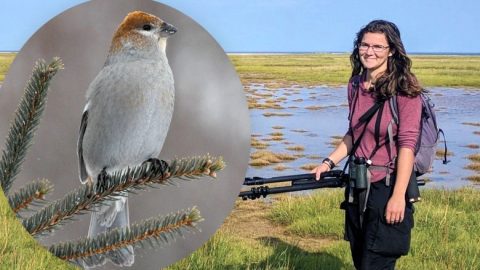 Nicole Richardson, November 2018 eBirder of the Month