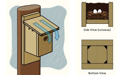 NestWatch, Features of a Good Birdhouse: Infographic