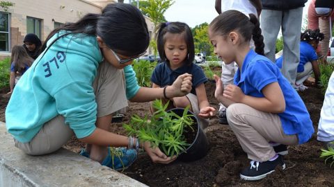 Outdoor classroom