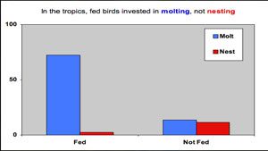 Birds in the Tropics Like a "Slow Pace" of Life