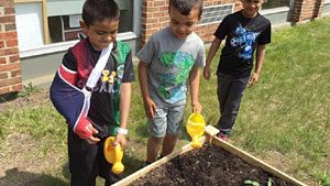 School garden Photo by Denise Reid