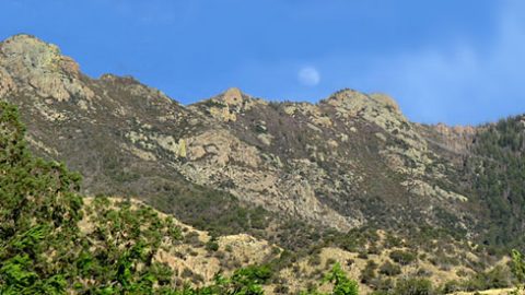 Madera Canyon, Santa Rita Mountains, Arizona by John Rakestraw