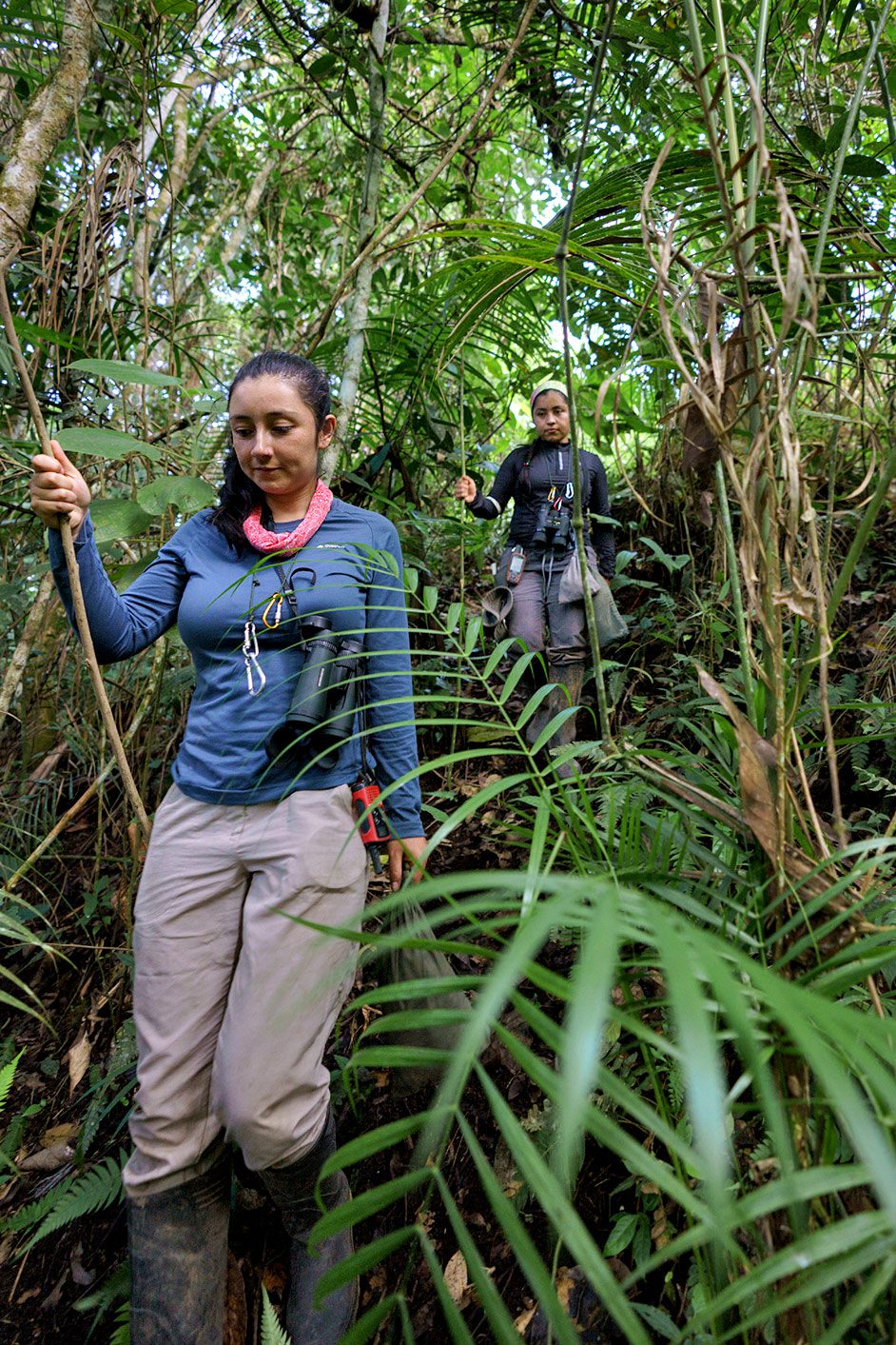 Two women walk through the thick forest.