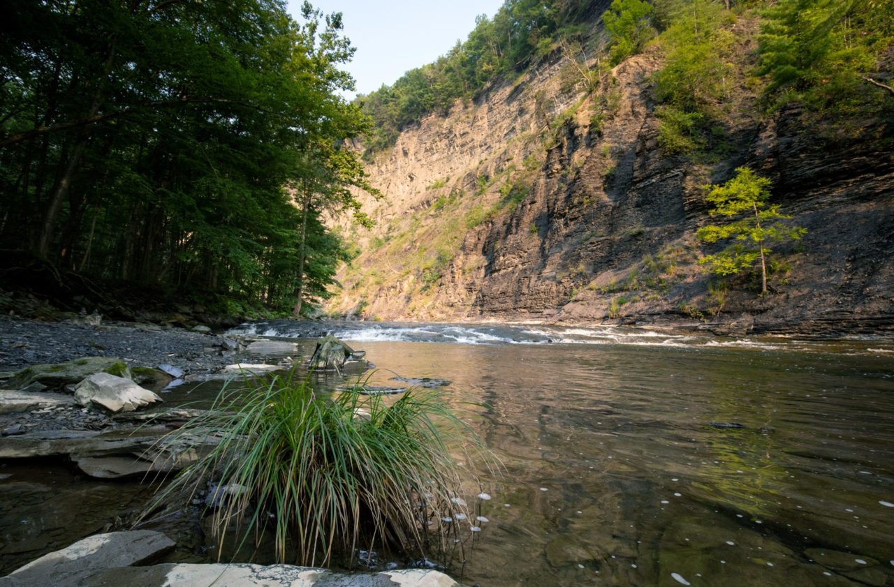 Photo of calm creek. The large creek running through the gorge can range from calm to fast depending on rainfall. Photo by Andy Johnson.